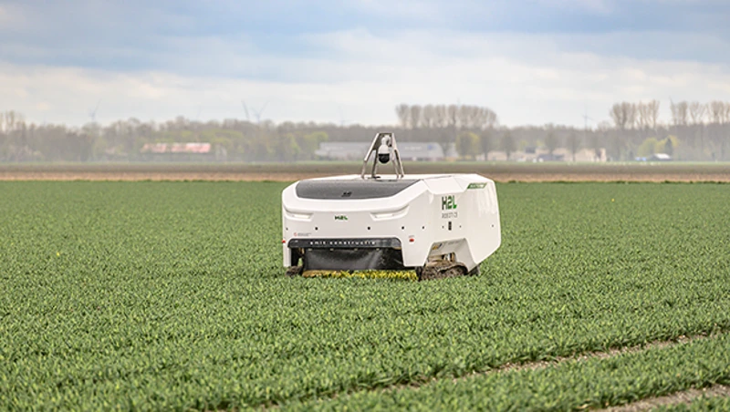 Autonomy and Automation