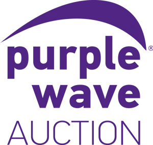 Purple Wave Auction